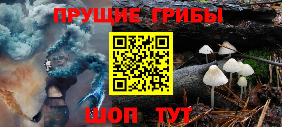 Тайшет  Псилоцибиновые грибы Magic Shrooms  Вход с VPN 