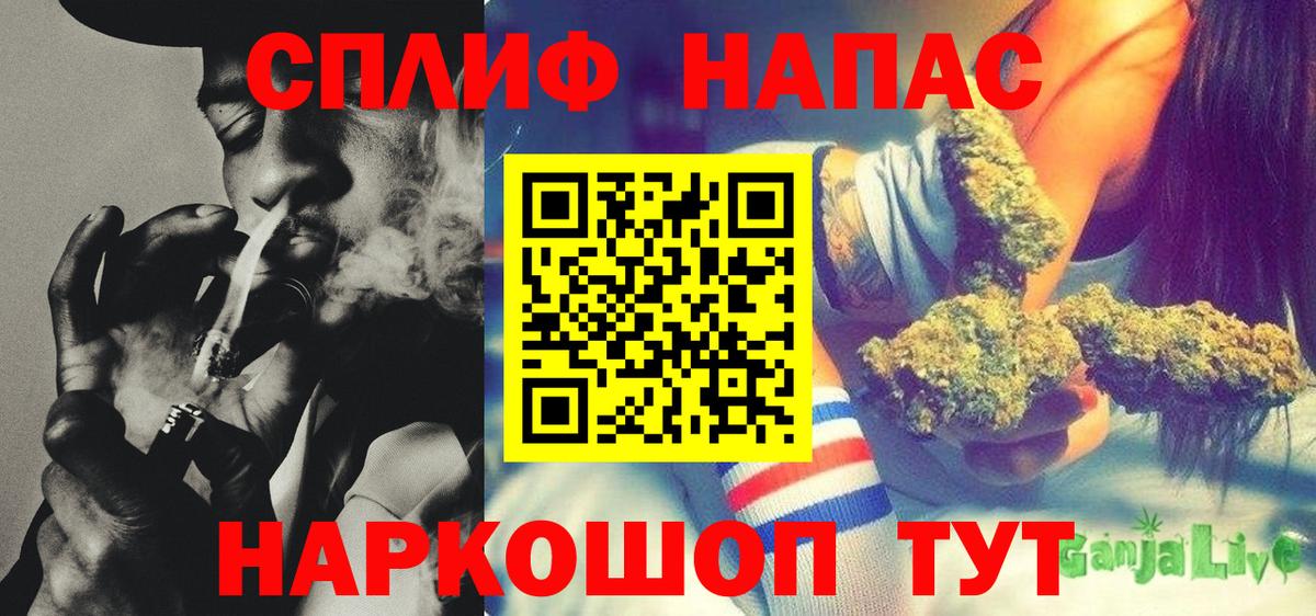 Конопля гибрид Тайшет
